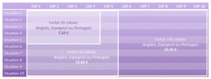 Saisie dans tableaux (type Excel) multilingues